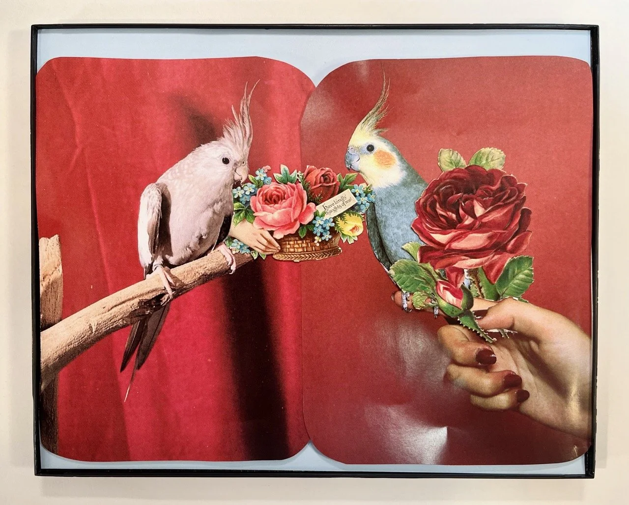 IMG_1641 copy Large.jpeg