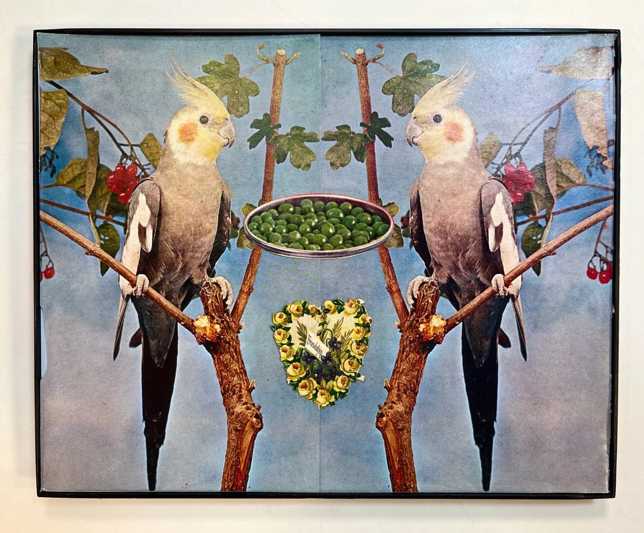 IMG_1645 copy Large.jpeg