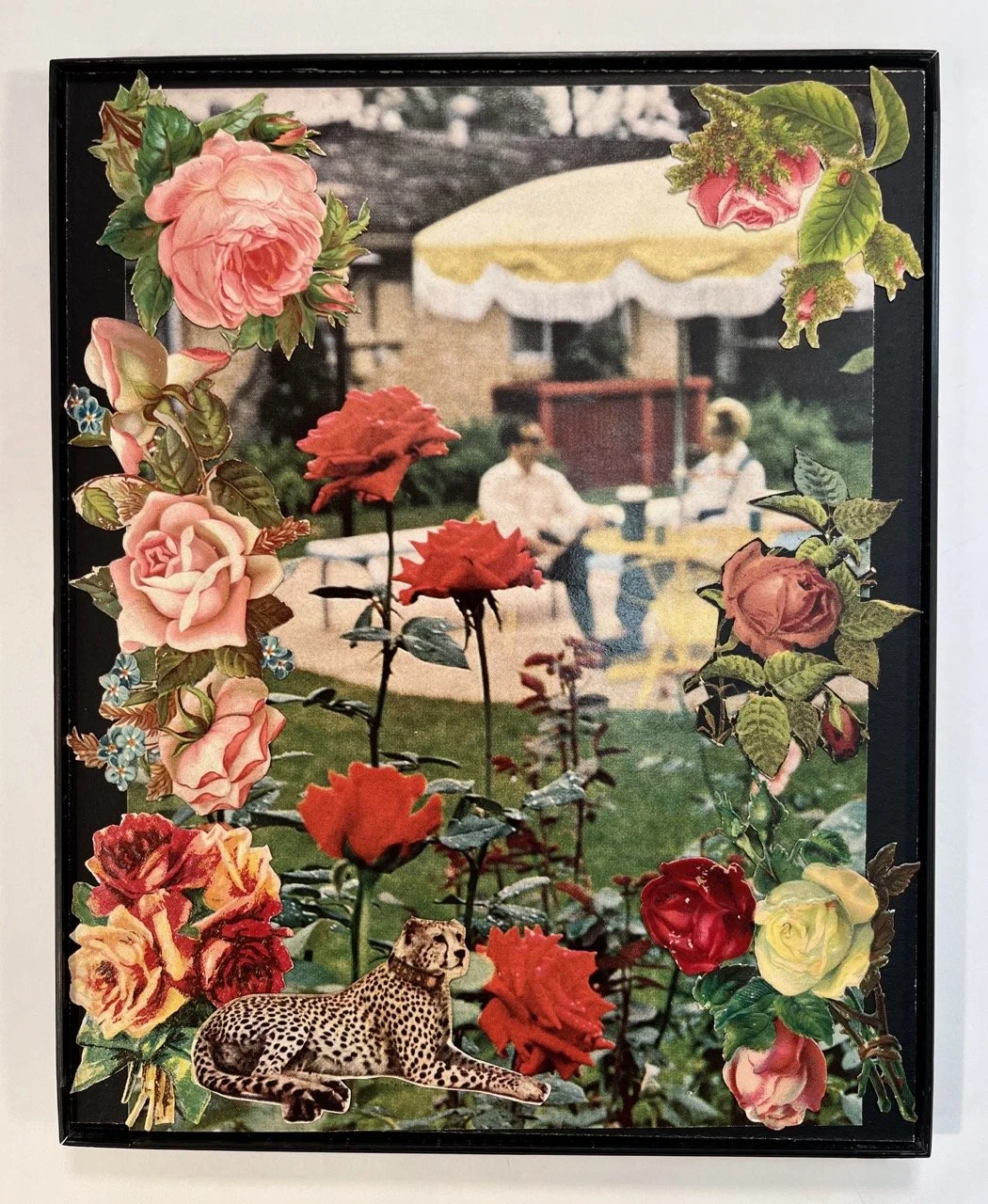 IMG_1649 copy Large.jpeg