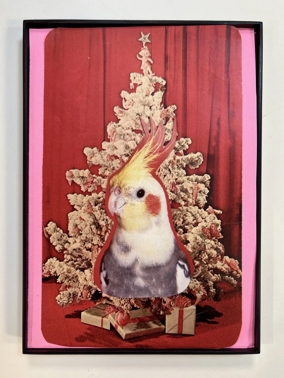 IMG_1653 copy Large.jpeg