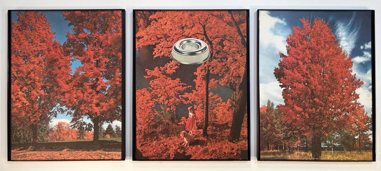 IMG_1665 copy Large.jpeg