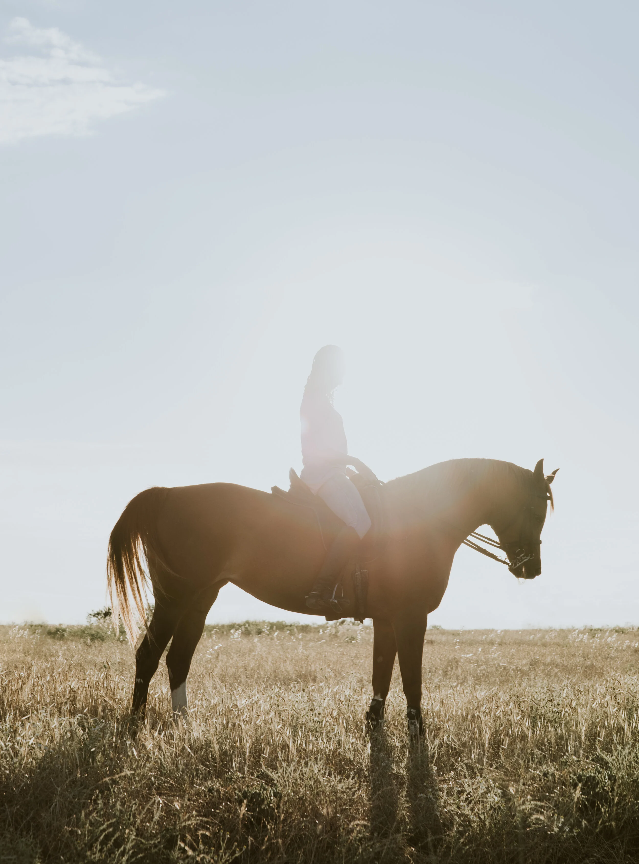 Horseback Riding in Malibu — Elite Adventure Tours Los Angeles