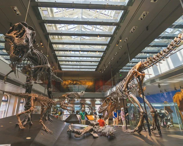 The Largest Natural and Historical Museum in the Western United States