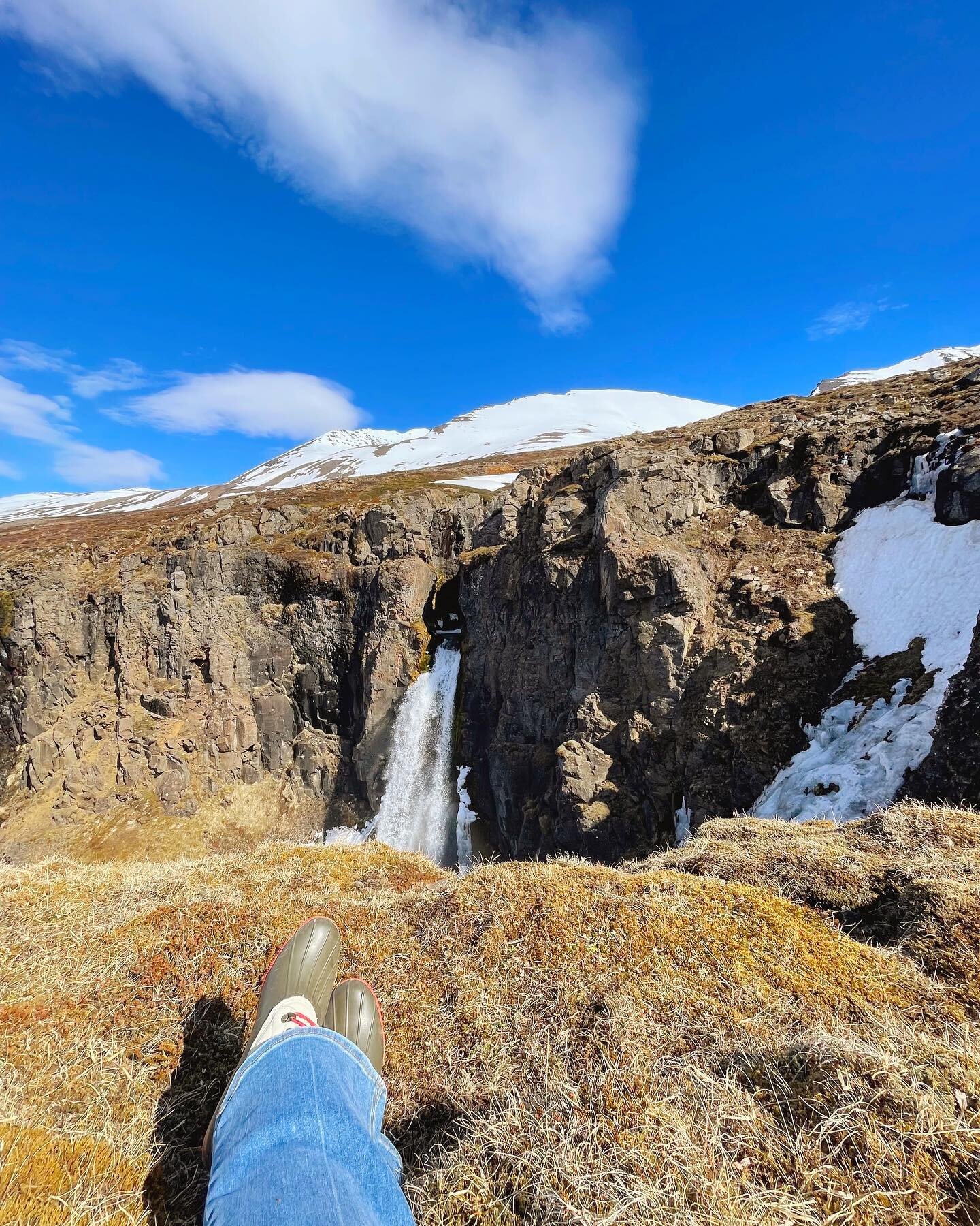 Il dolce far niete &mdash; &ldquo;the sweetness in doing nothing&rdquo; 

Last week I had the opportunity to trek all the way to Iceland &amp; stay on a property that operates as a sheep farm in the Summer. 

While the group was off heli-skiing, I st