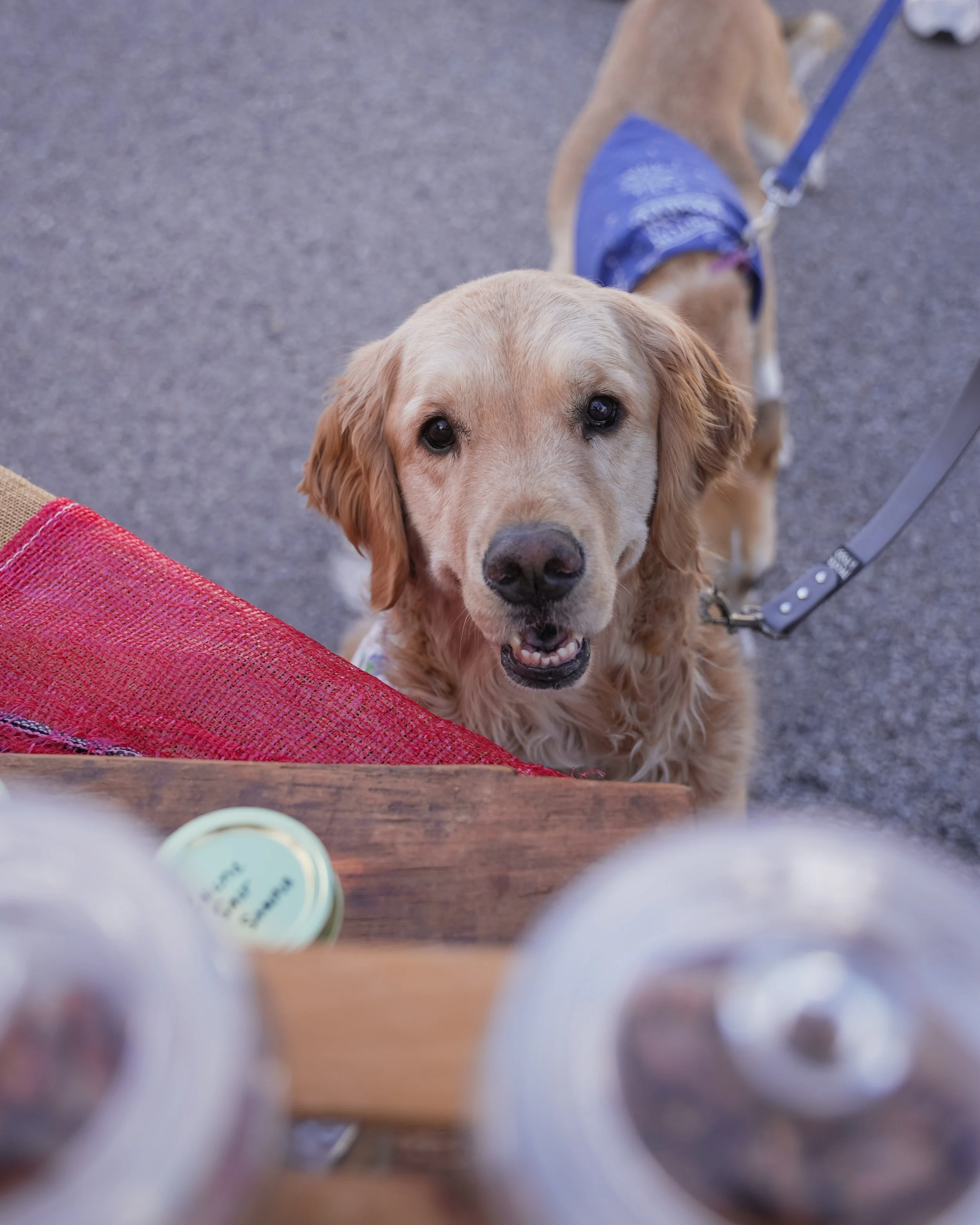 Rice Village Farmers Market