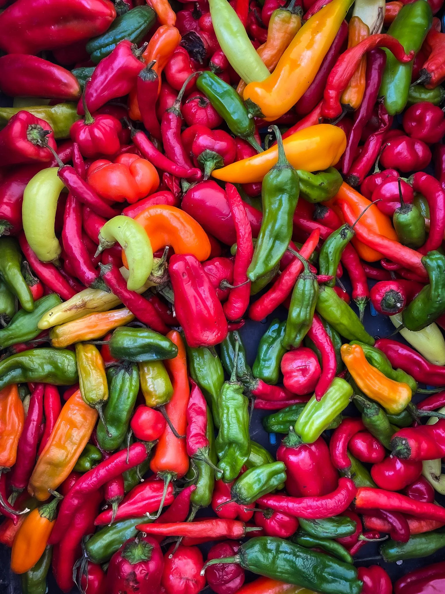 Rice Village Farmers Market 