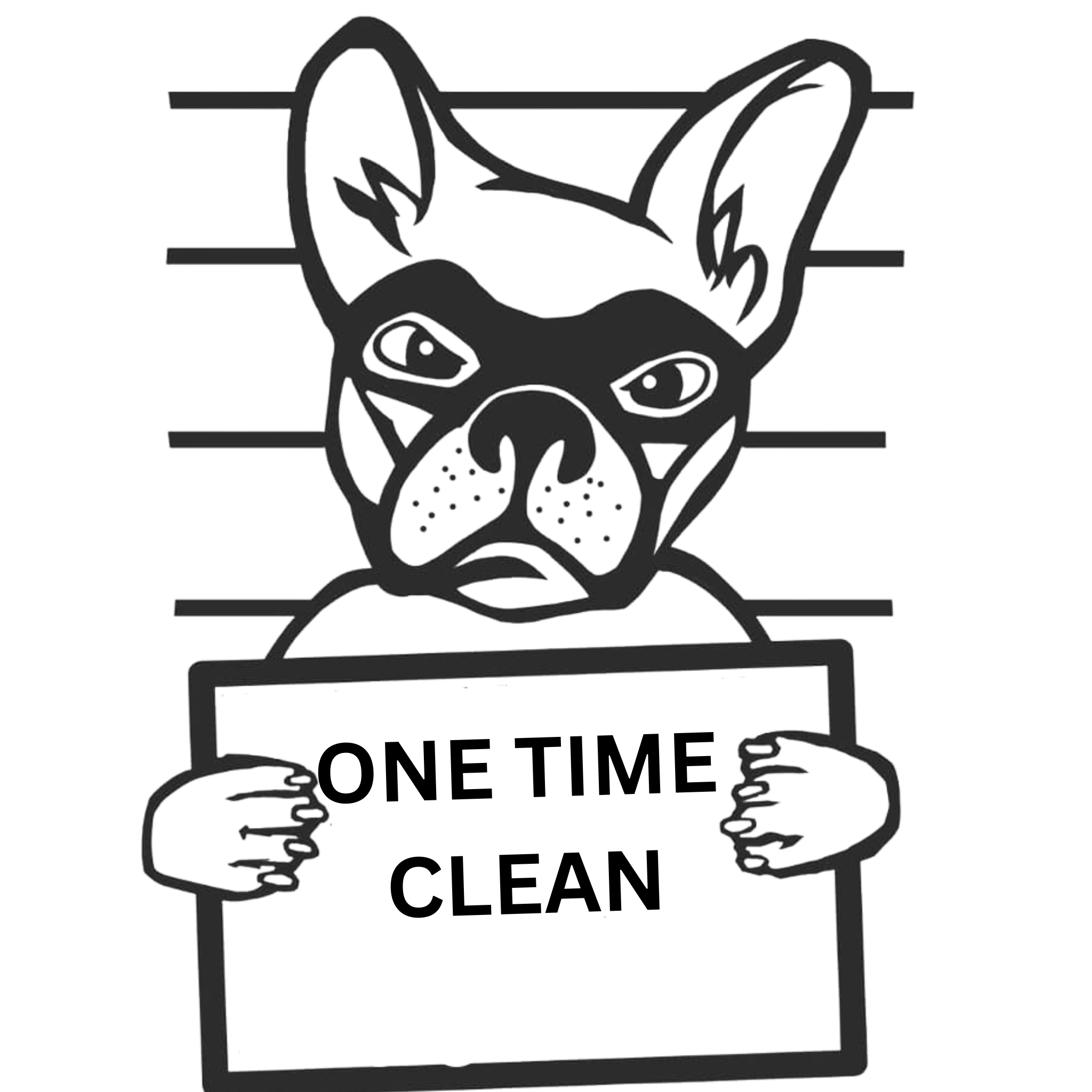 SPRING CLEAN *ONE TIME SERVICE*