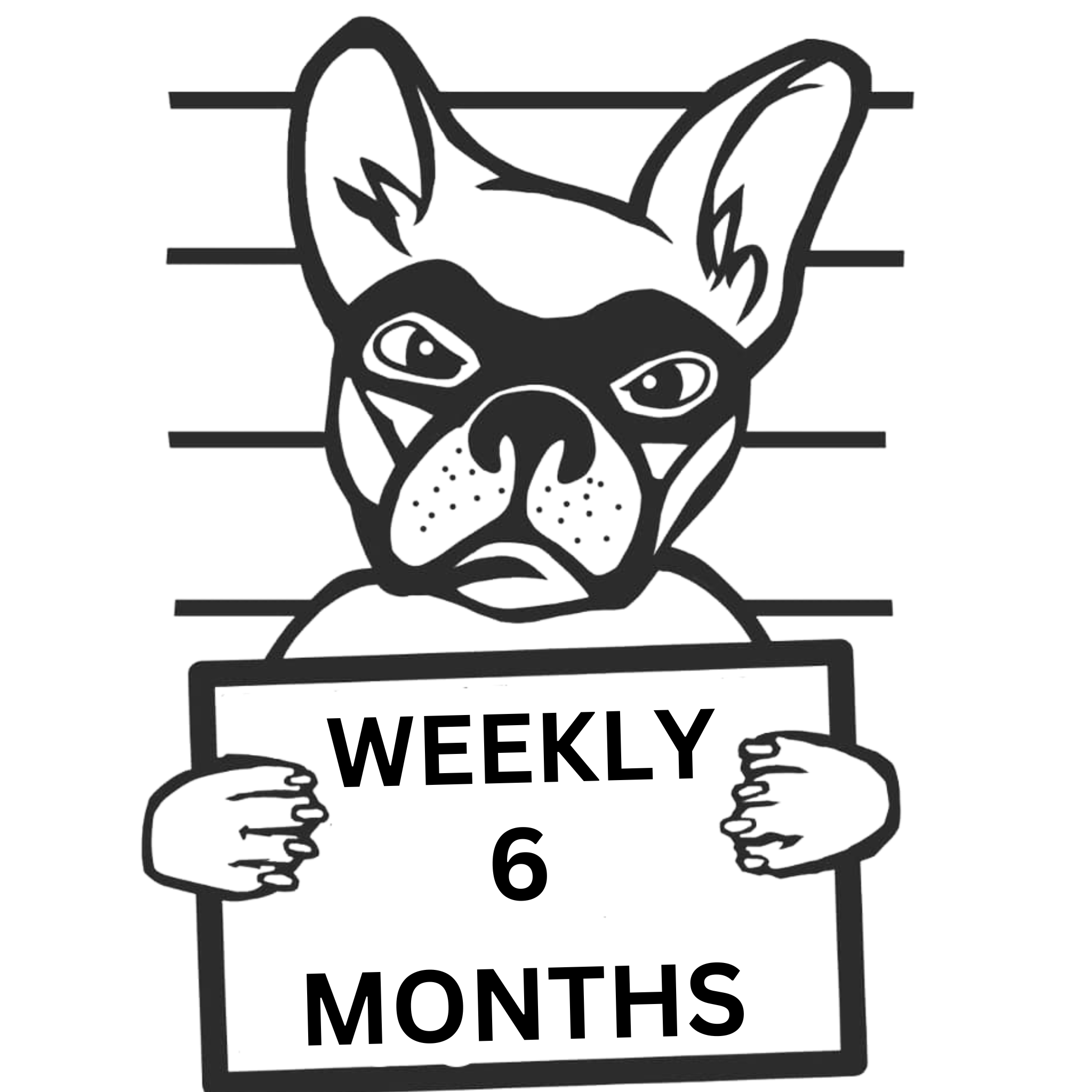 Weekly clean six months for Two dogs
