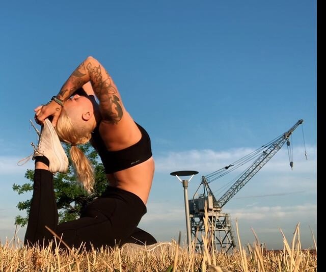 It&rsquo;s been just over one full month of waking up everyday before 5AM to dive in with @raghunathyogi on @wisdom_of_the_sages . I tune in while taking in the sunrise and moving my body - rollerblading or running or walking the wolf, breathing in t