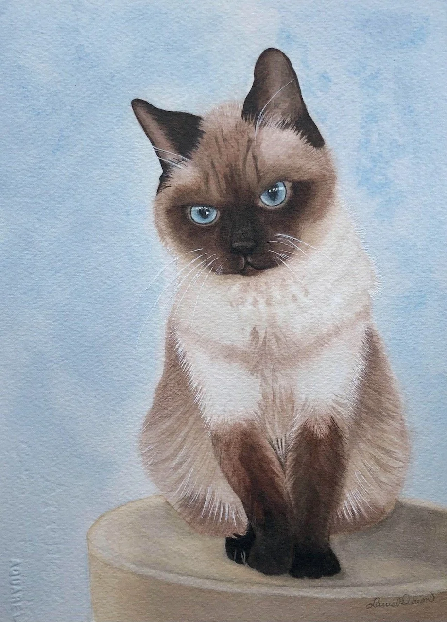 Siamese cat sitting on a stool