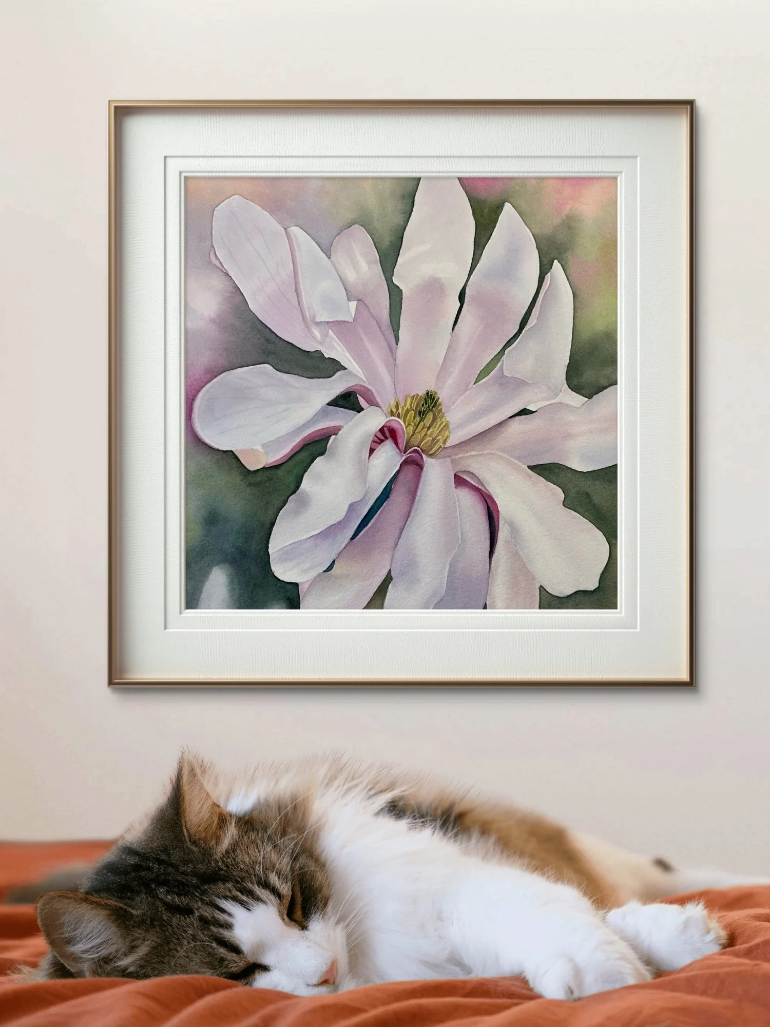 magnoliastellata with cat.jpeg