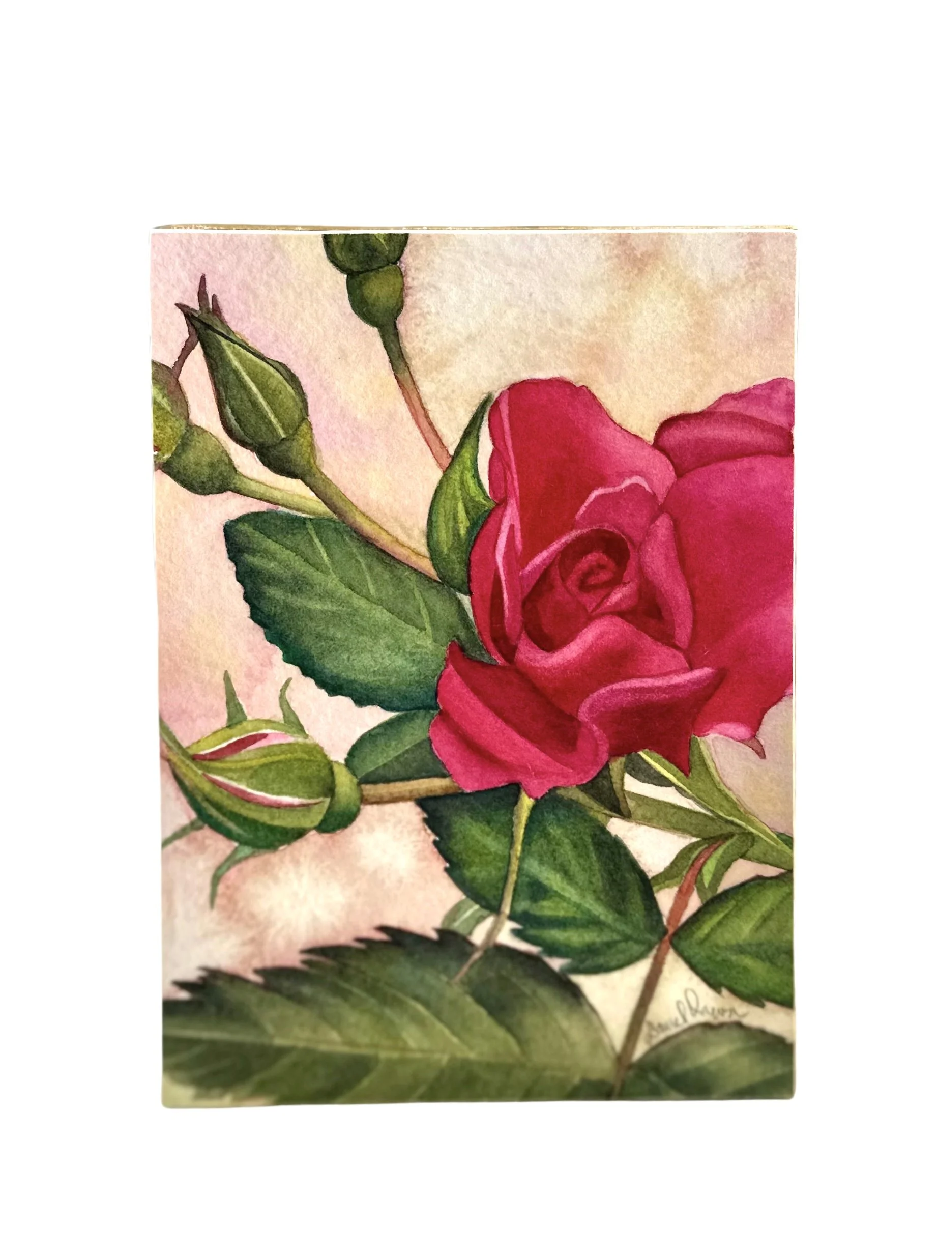 Radiant Rose