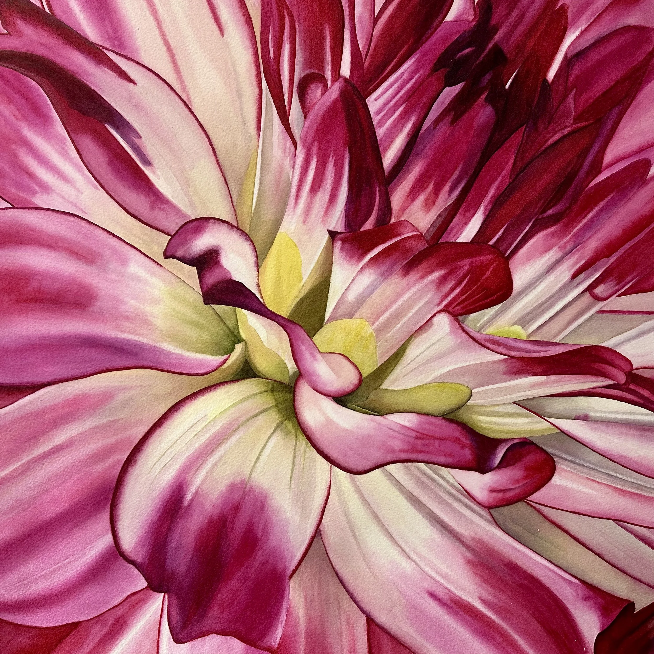 The Heart of the Bloom