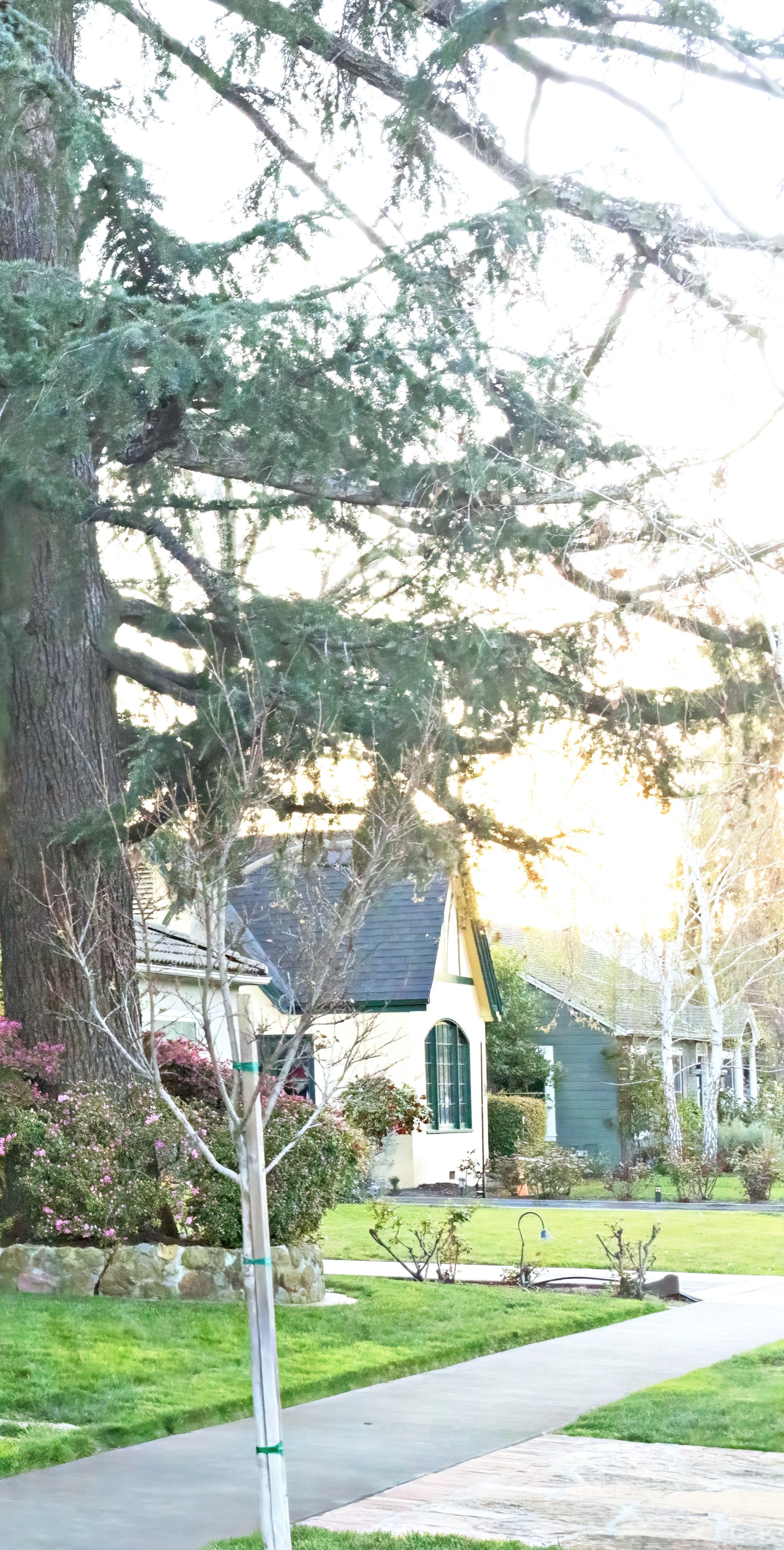 Quintessential Real Estate Firm