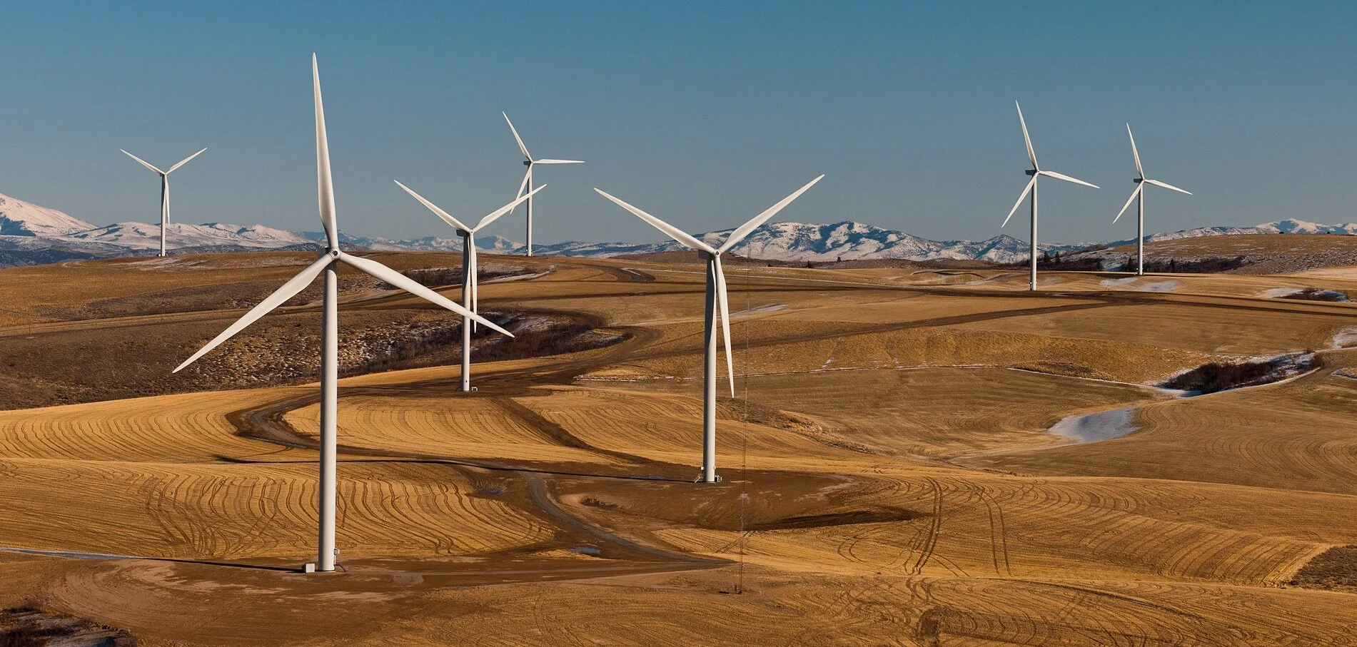 Join the WindDriven Movement! Sound off!