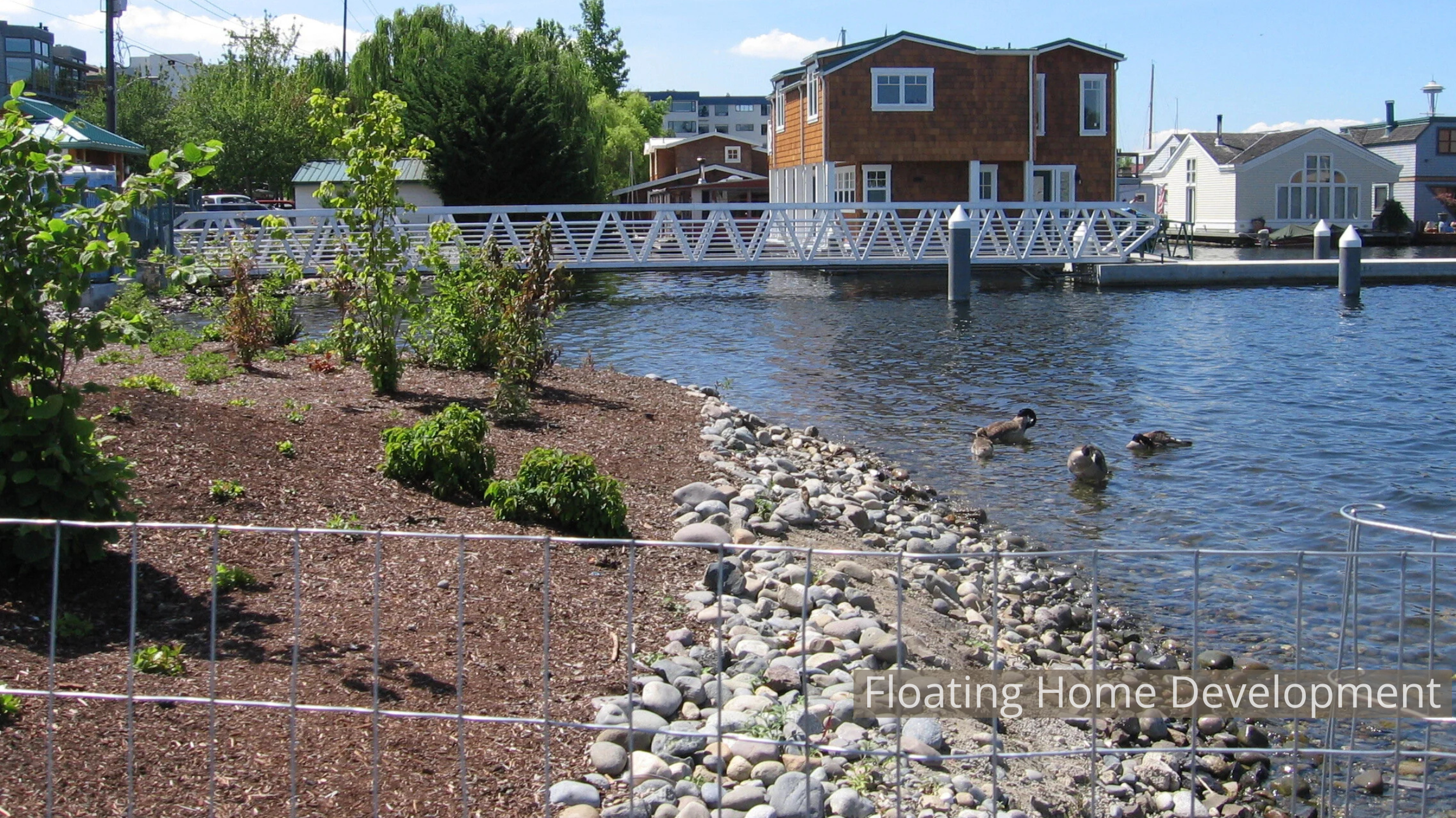 A residential area by the water with houses, a dock, duck with ducklings, greenery, and a partly cloudy sky.