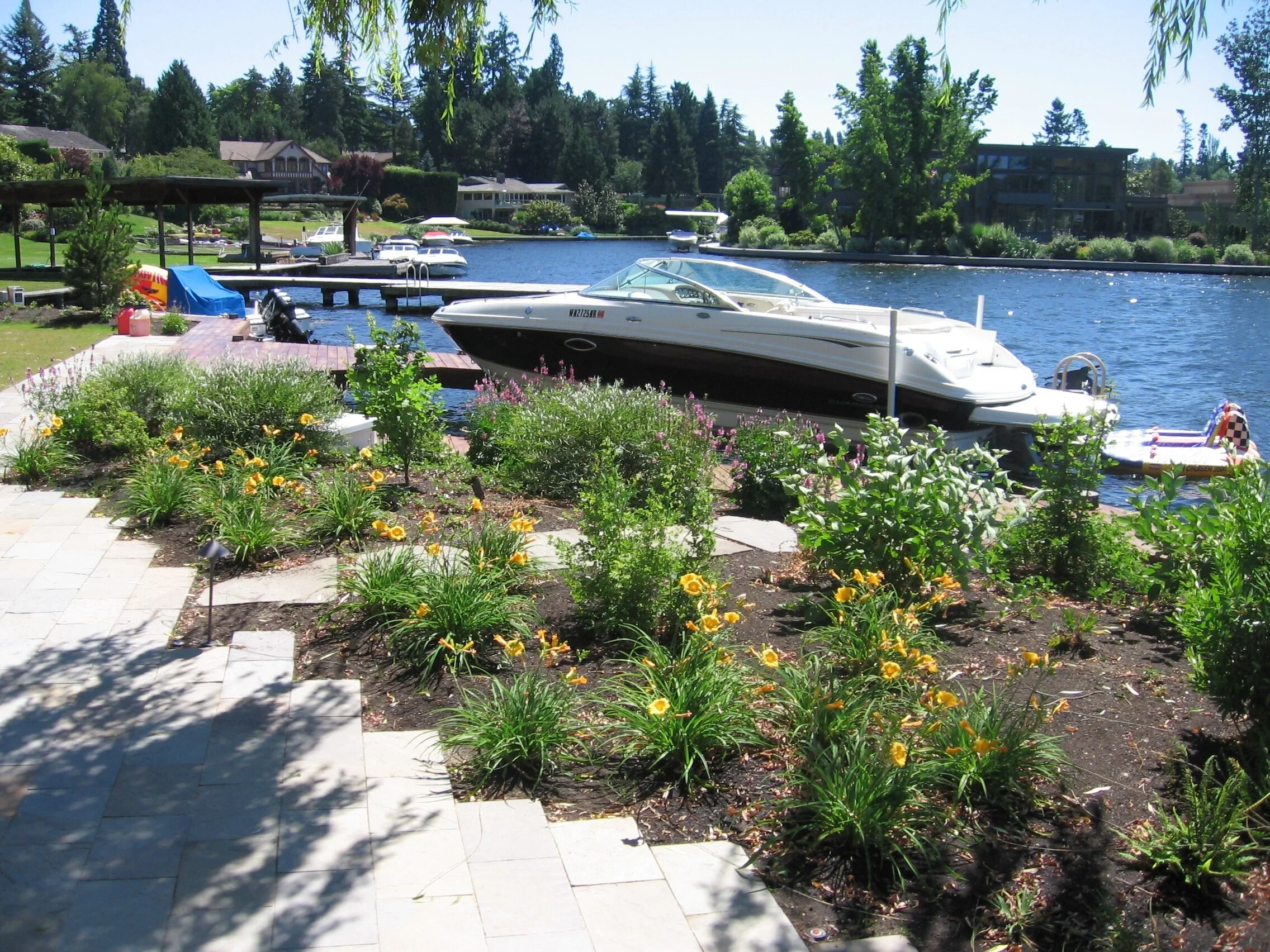 Shoreline+landscaping.webp
