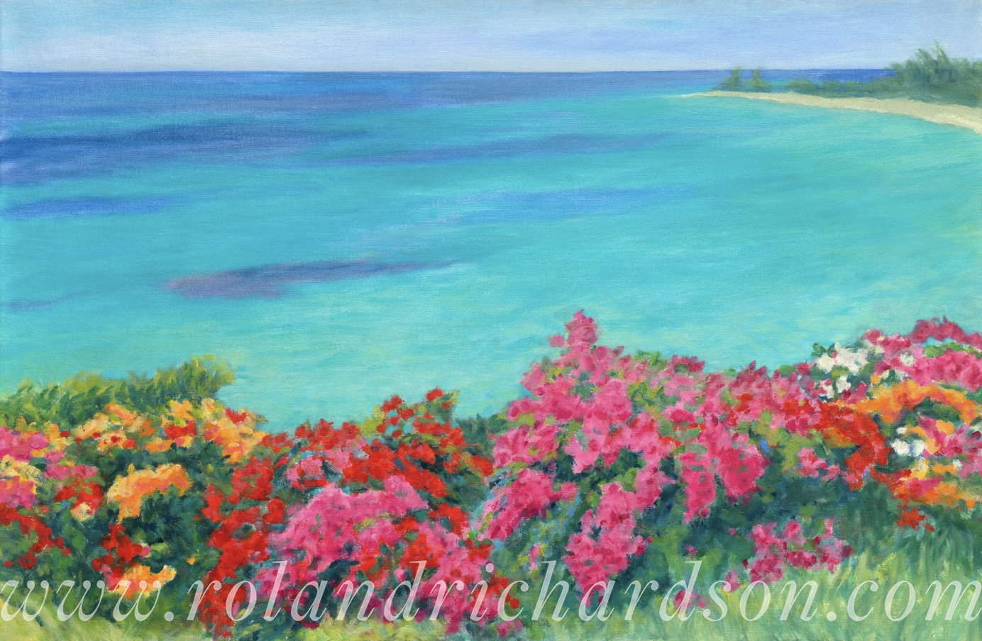 Pink Bougainvillea with View of Baie Longuewm.PNG