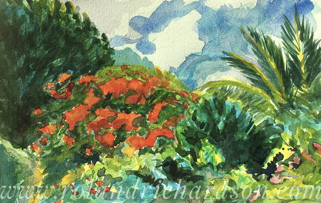 Flamboyant in Barbados Field, 5 x 8  July 2001  $450wm.JPG