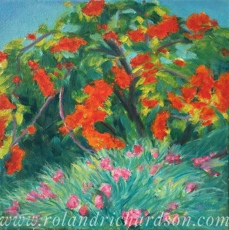 Flamboyant and Pink Oleander