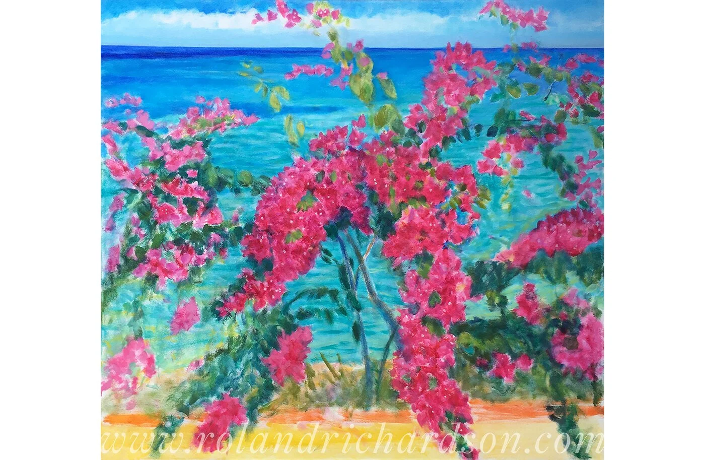Ocean+Club+Bougainvilleatb.jpeg