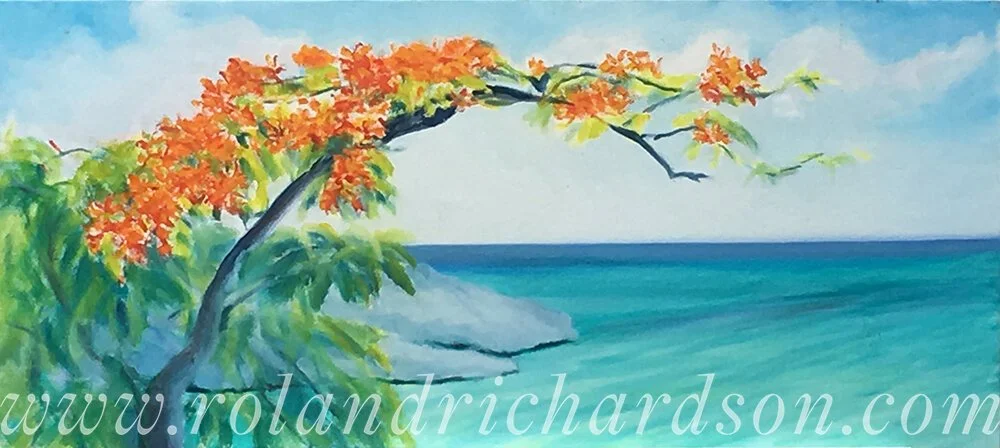 Flamboyant+Branch+over+Baie+Longue-wm.JPG
