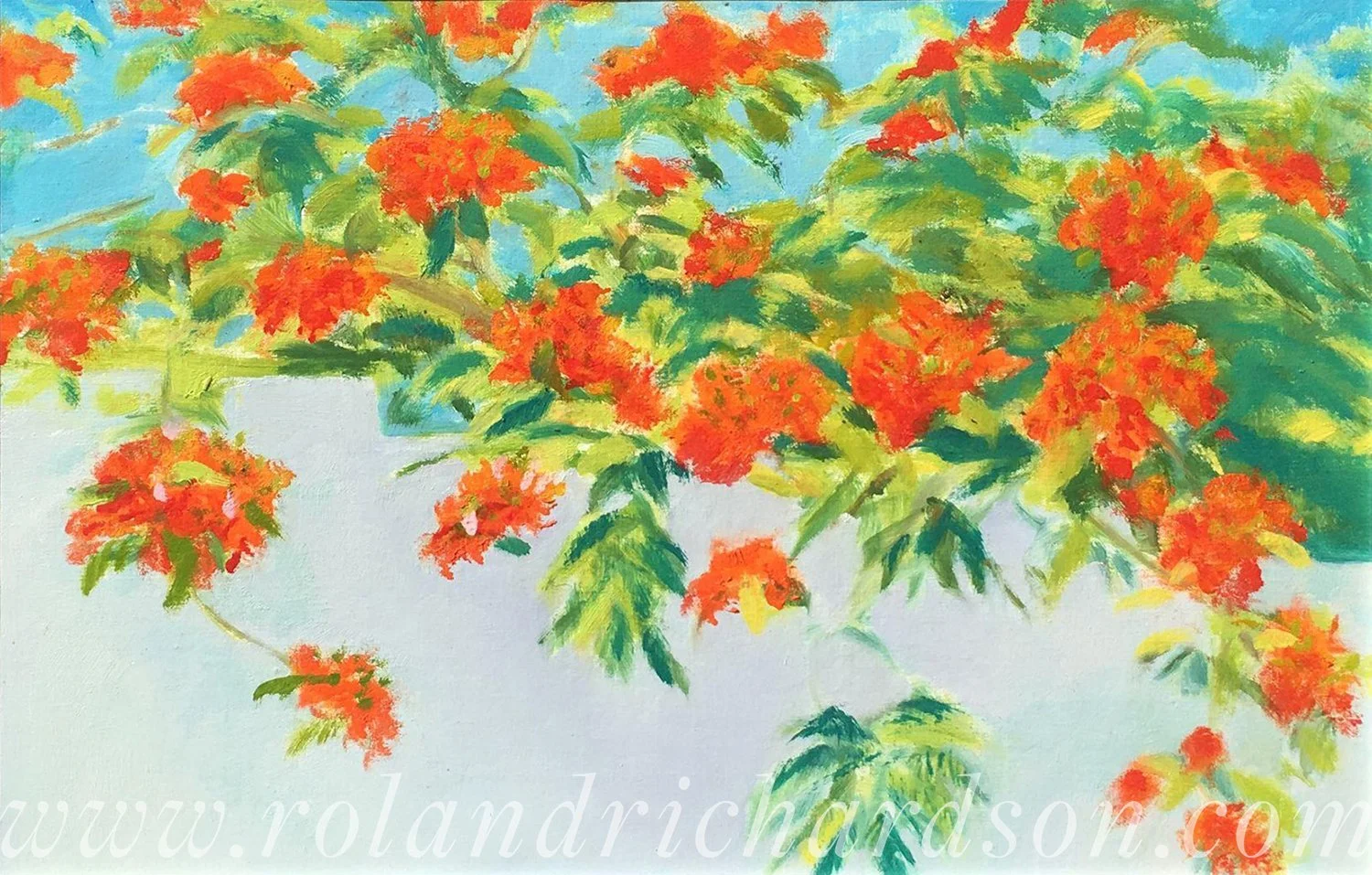 Flamboyant Cascade over White Wall