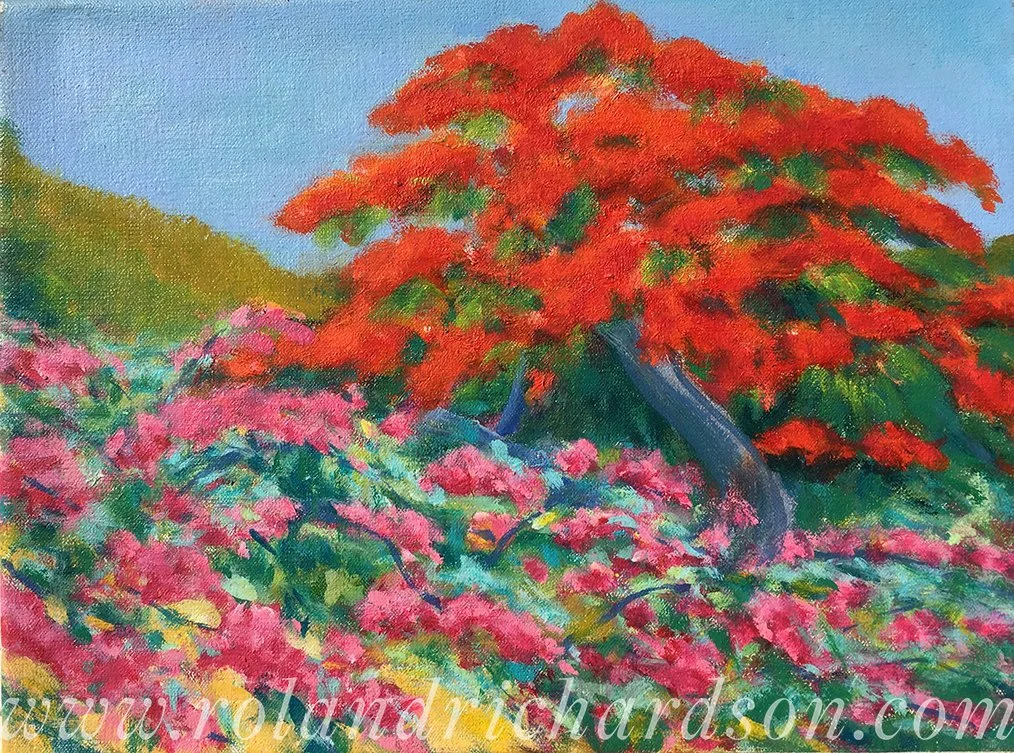 Bougainvillea and Flamboyant-d-wm.jpeg