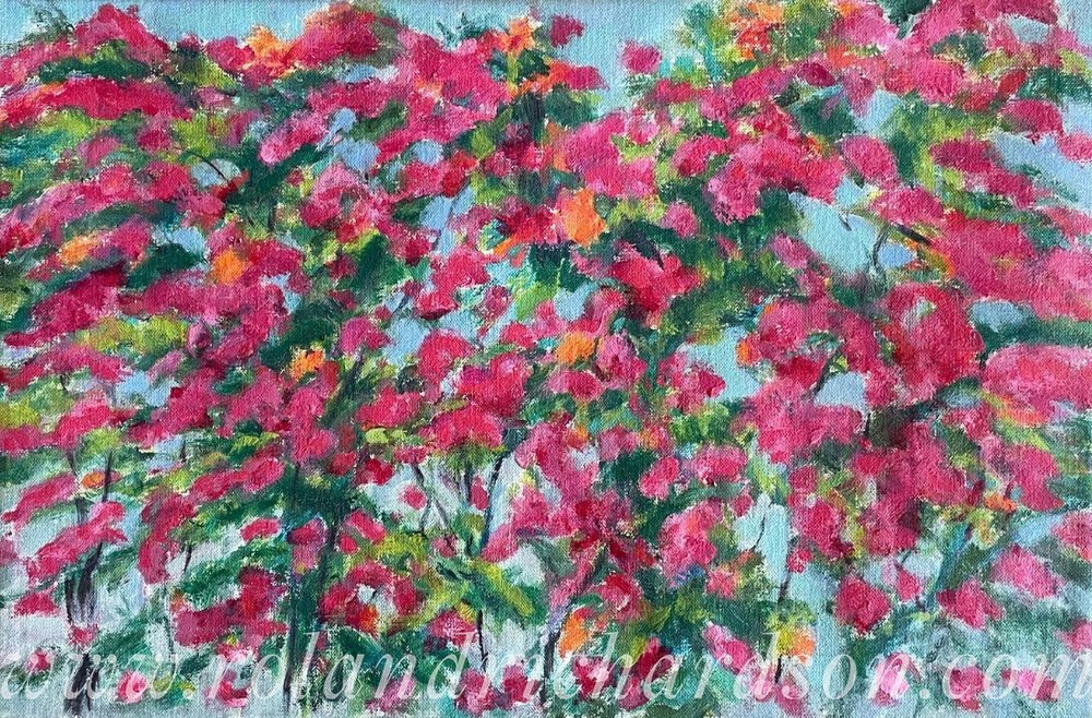 Pink Bougainvillea Tapestry
