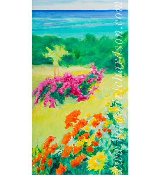Bougainvillea%2BBlooms%2Bwith%2BView%2Bof%2BBaie%2BLongue-wm.png