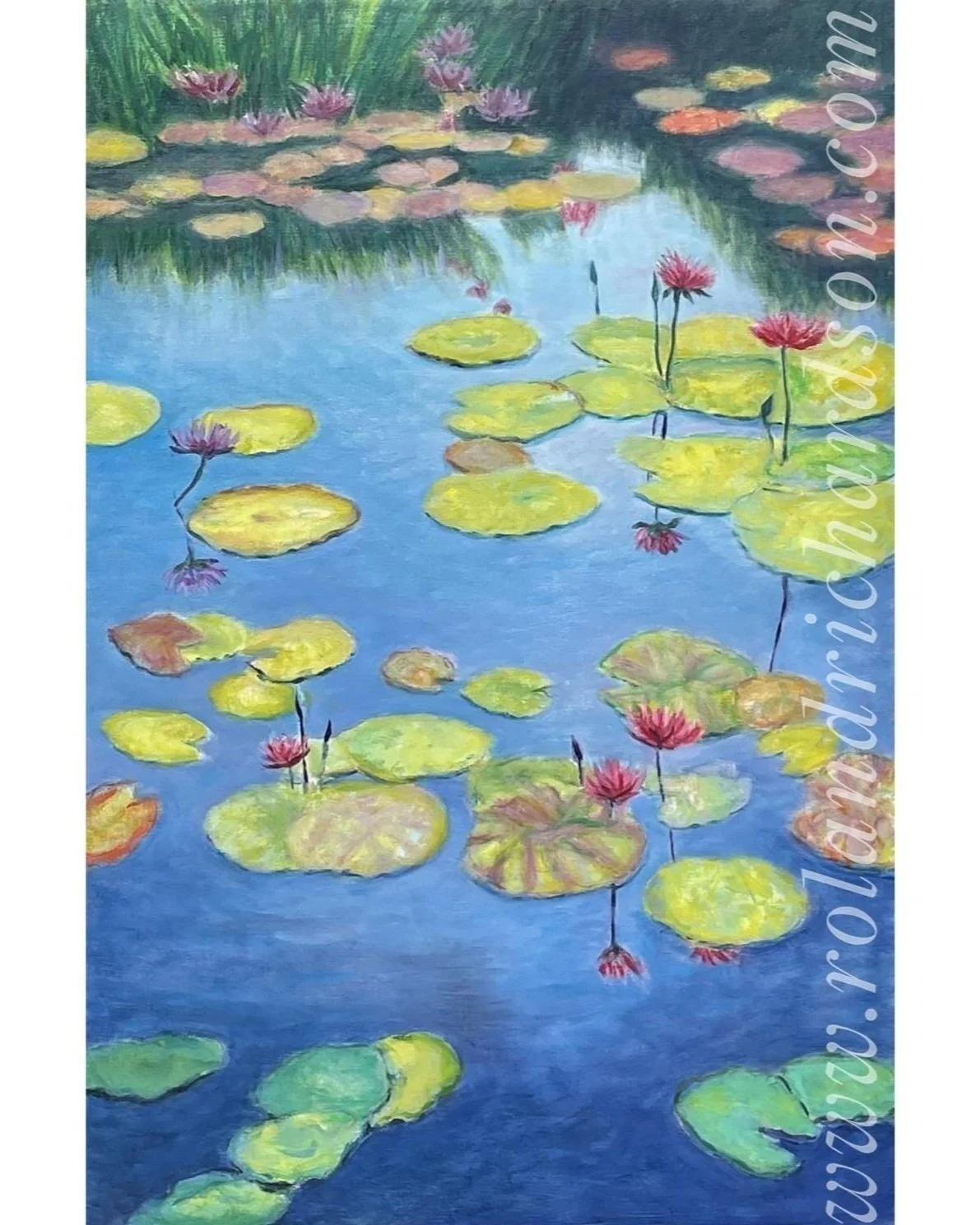 Water%25252BLily%25252BPond%25252B%252525232-sm-wm.jpg