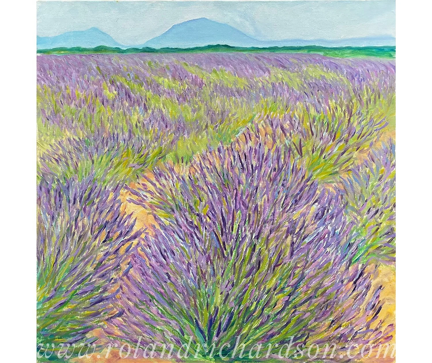 Lavender-Fields%2C-Valensole-wm+copy.jpg