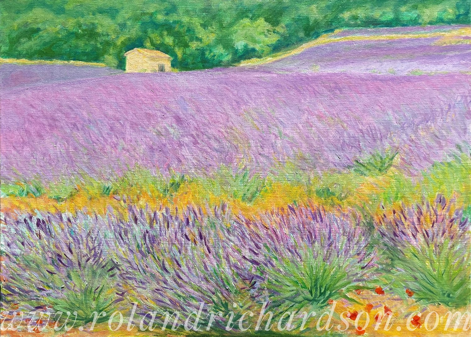 Lavender-Field-with-Stone-Mas-and-Spray-of-Poppies-wm.jpg