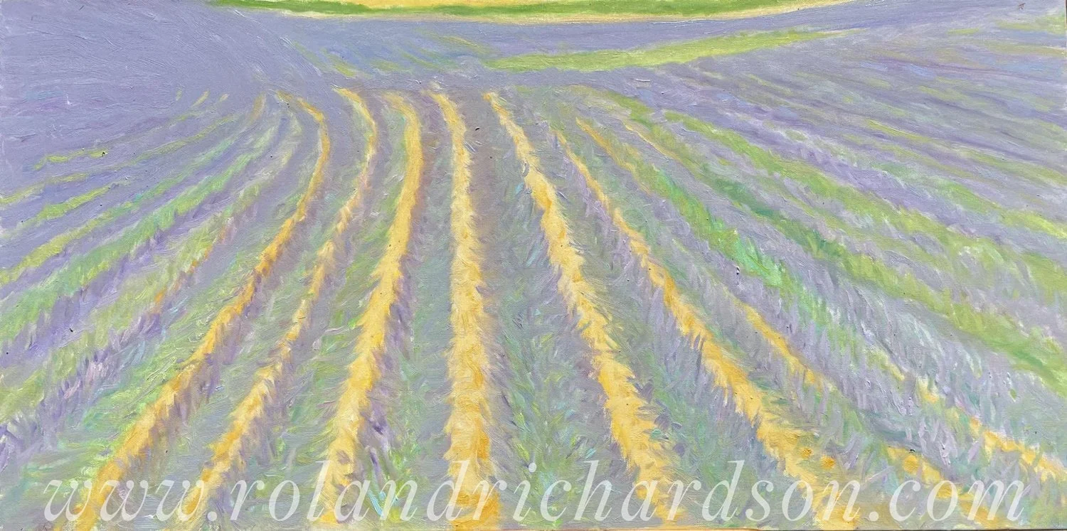 Lavender-Field%2C-Greoux-les-Bain-wm.jpg