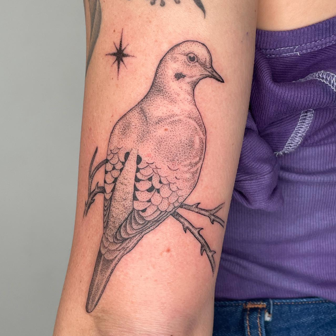 Mourning Dove Tattoo