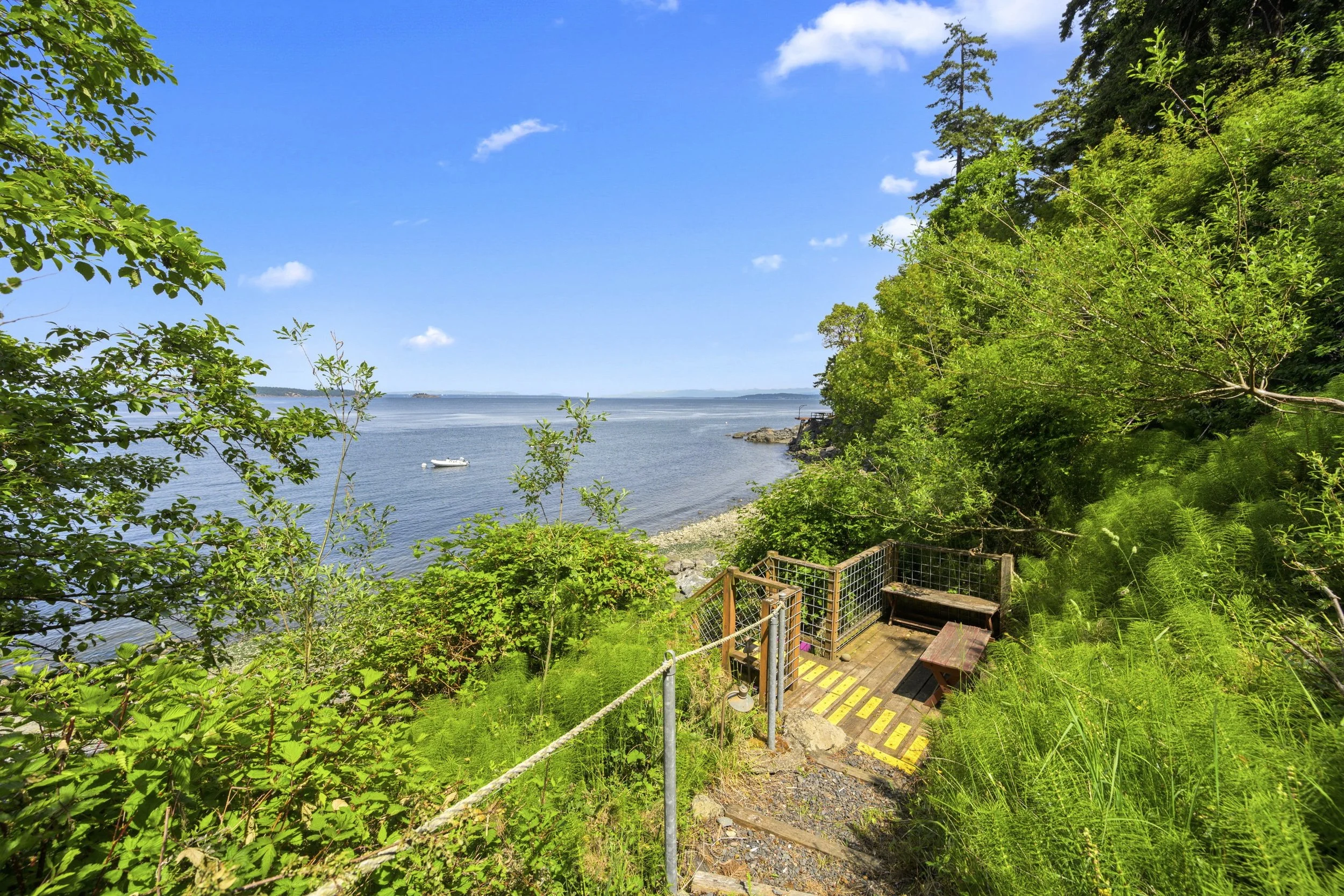 raccoonsitepix - 31.jpeg
