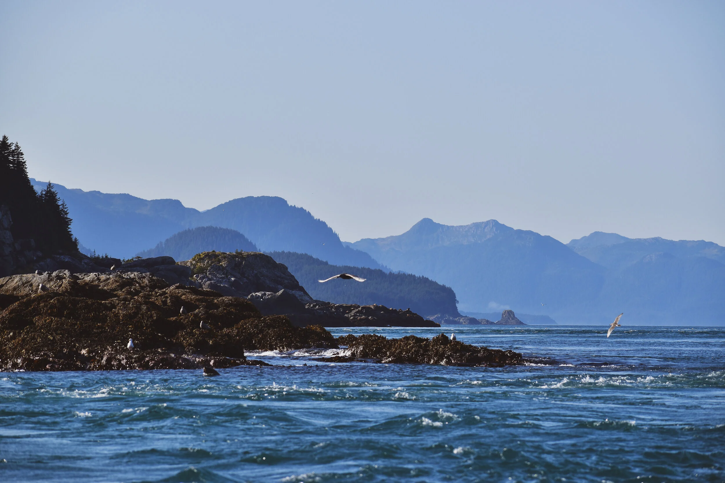 SBN - INIAN ISLANDS 47.jpg