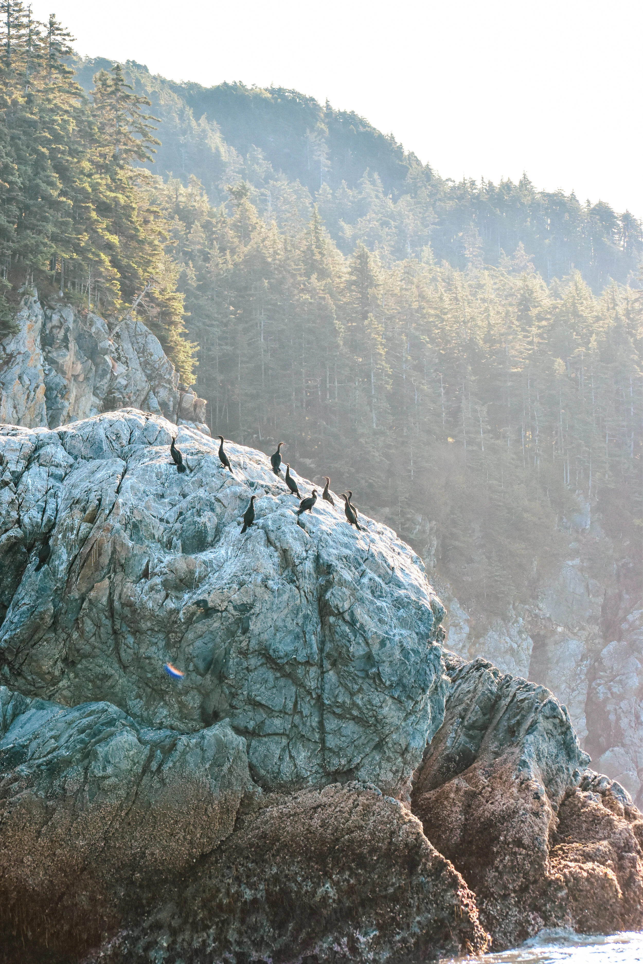SBN - INIAN ISLANDS 61.jpg