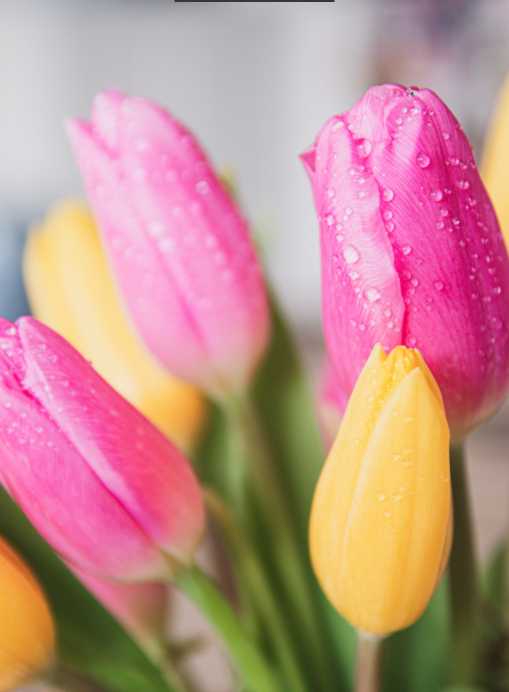 Fresh Flowers for Easter 