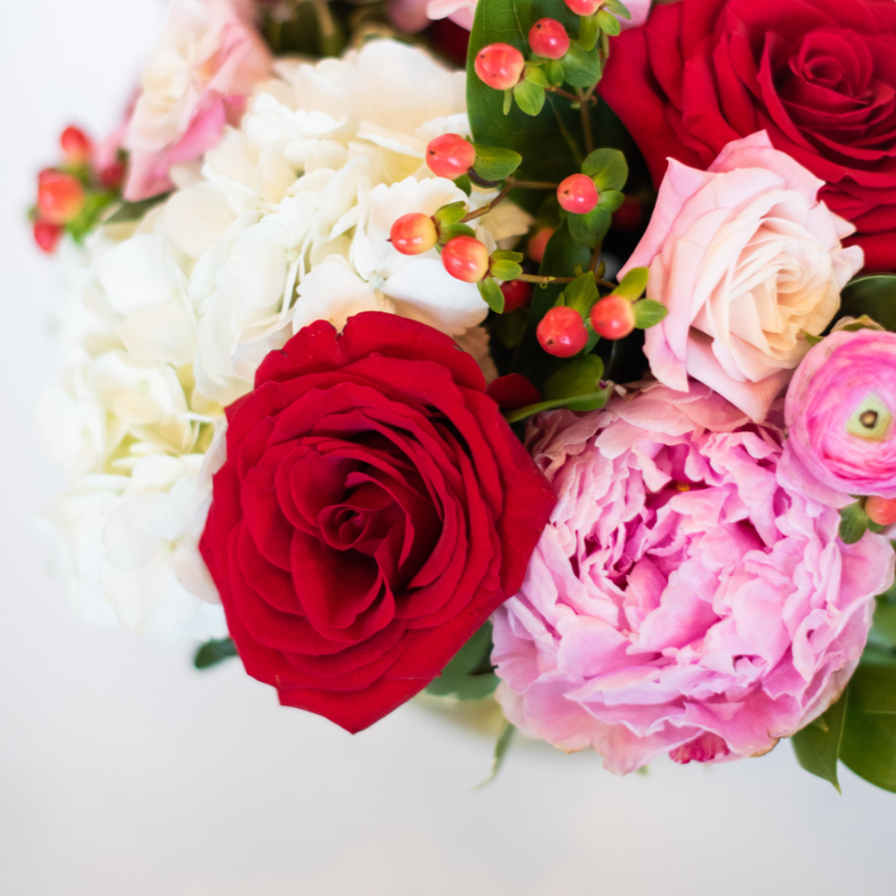 Screenshot 2024-01-08 at 11.28.30 AM.png