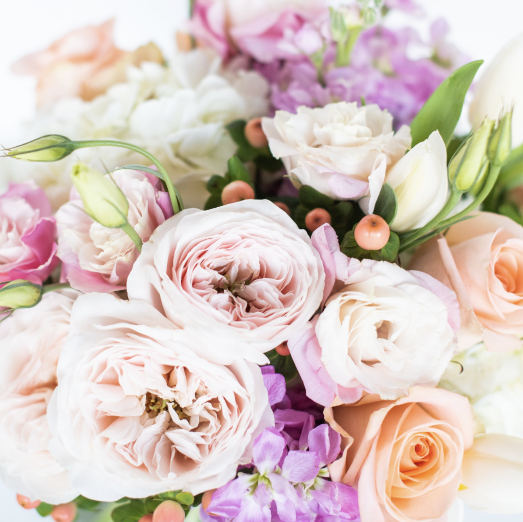 Screen Shot 2024-02-01 at 4.22.04 PM.png