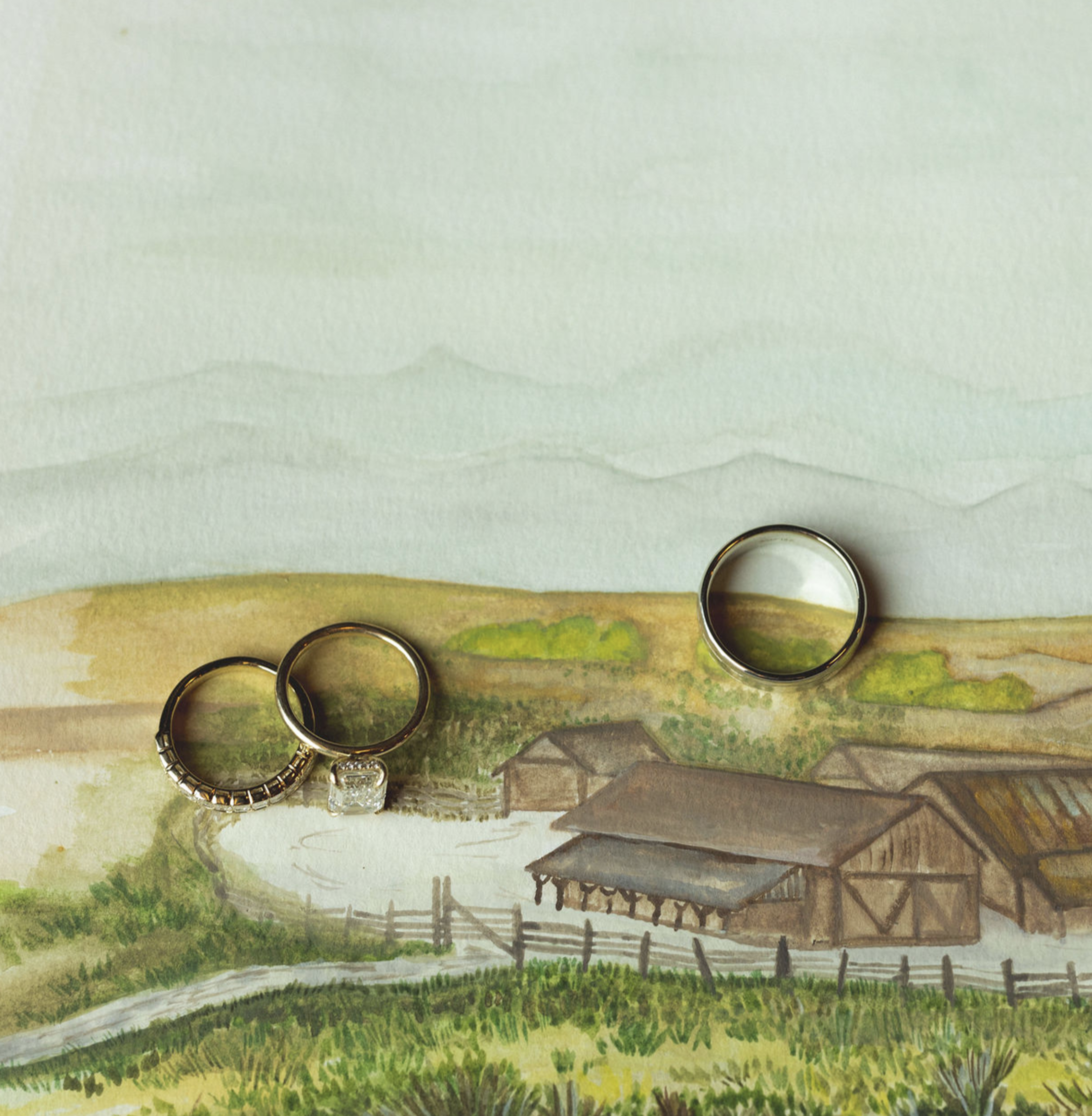 Screenshot 2026-02-17 at 10.39.14 AM.png