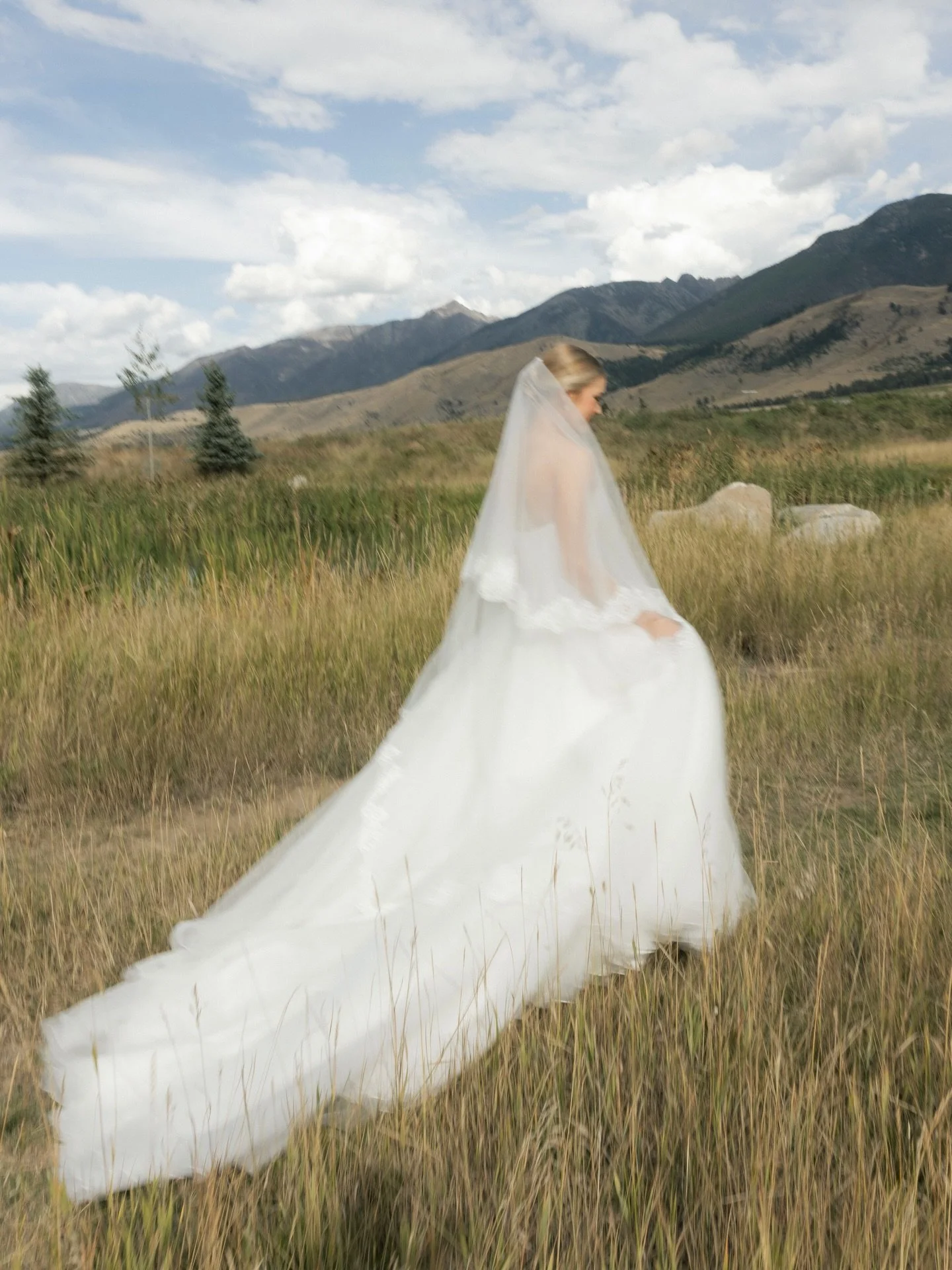 A moment for the stunning @mackenziebpeace ✨🤍 

@carefree_events 
@brysedesign 
@thewildblume 
@fumimakeup 
@brooklynnstudio 
@cakesbylauranewhouse 
@justatastebozeman 
@copperroseranch 
@gallatineventrental 
@montanapartyrentals 
@bbjlatavola 
@kar