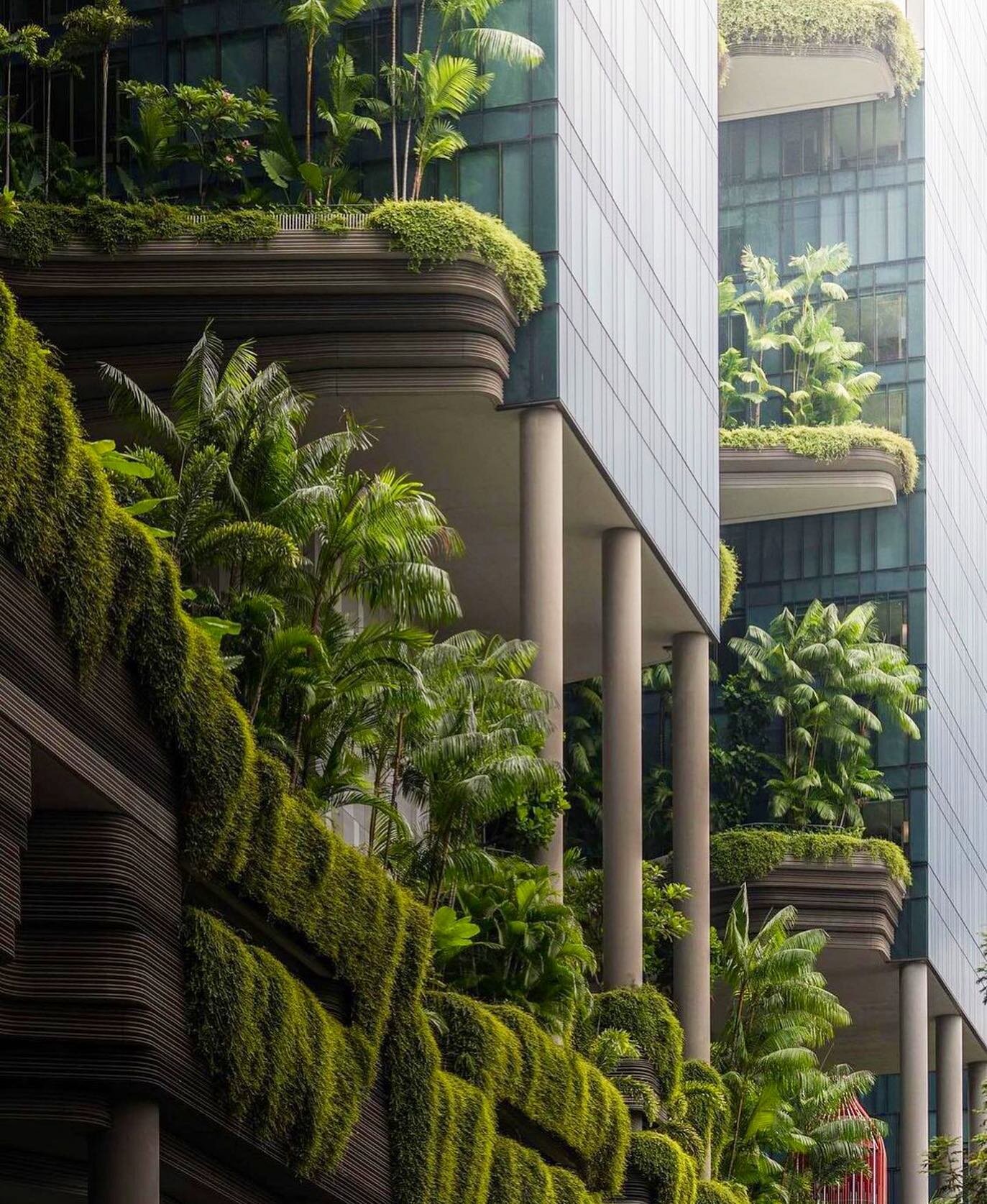 This is how our 21st century cities need to look like. The stacking of dense planting throughout our buildings turns our cities into carbon sponges that help us keep our environment clean, our minds clear and our health in check 🌿 
.
.
.
.
.
.
.
.
.