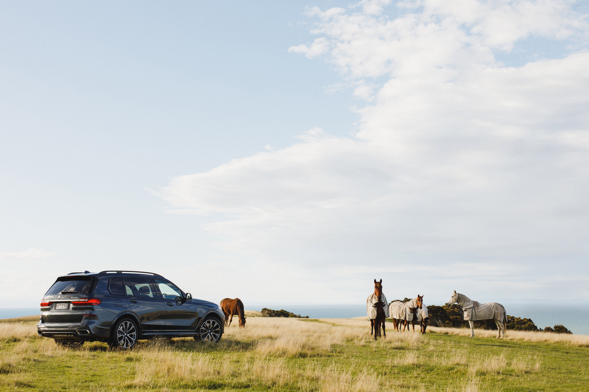BMW New Zealand High end Campaign Photography X7 horses