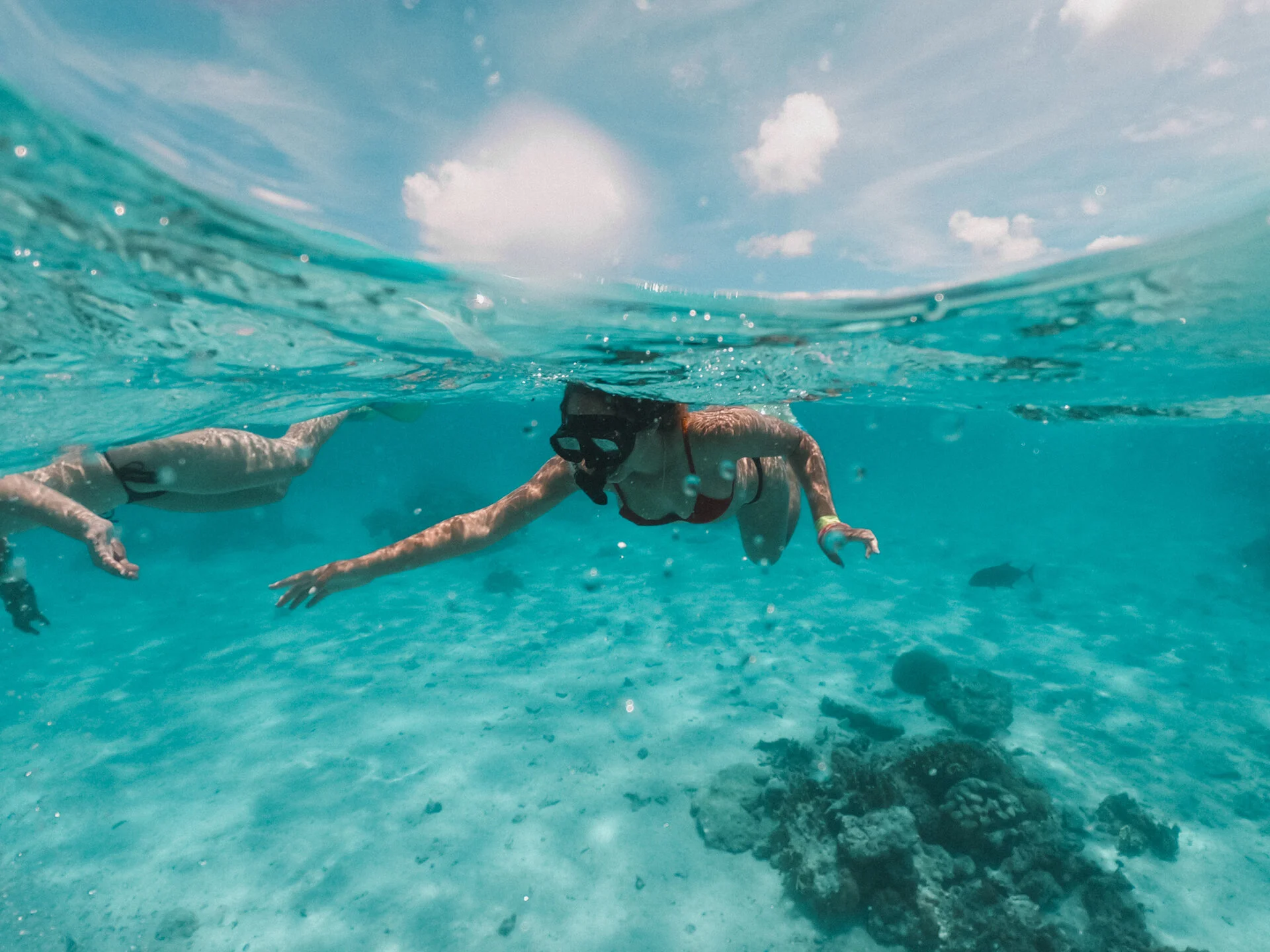 snorkelling underwater photography nz tauranga
