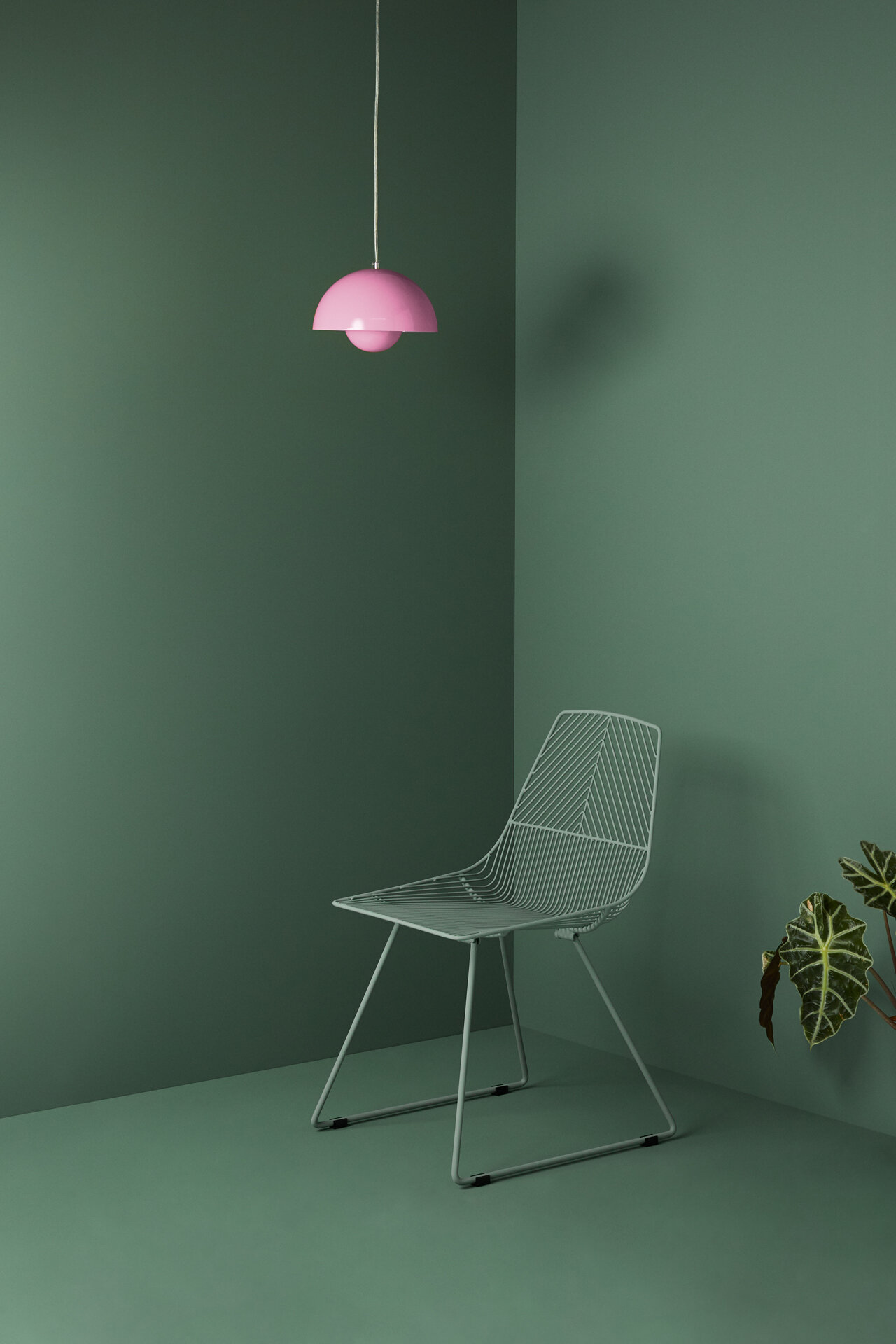 Styled set studio photography green papamoa new zealand