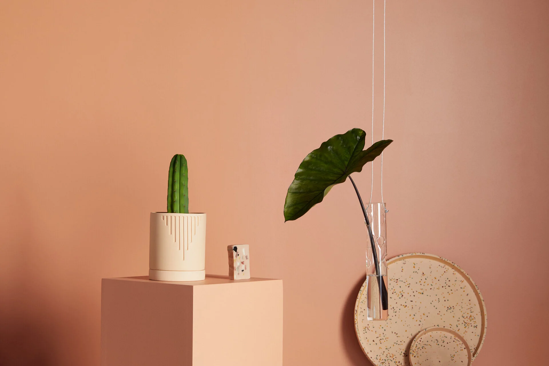 20200225 Surprise Surprise0681.jpg