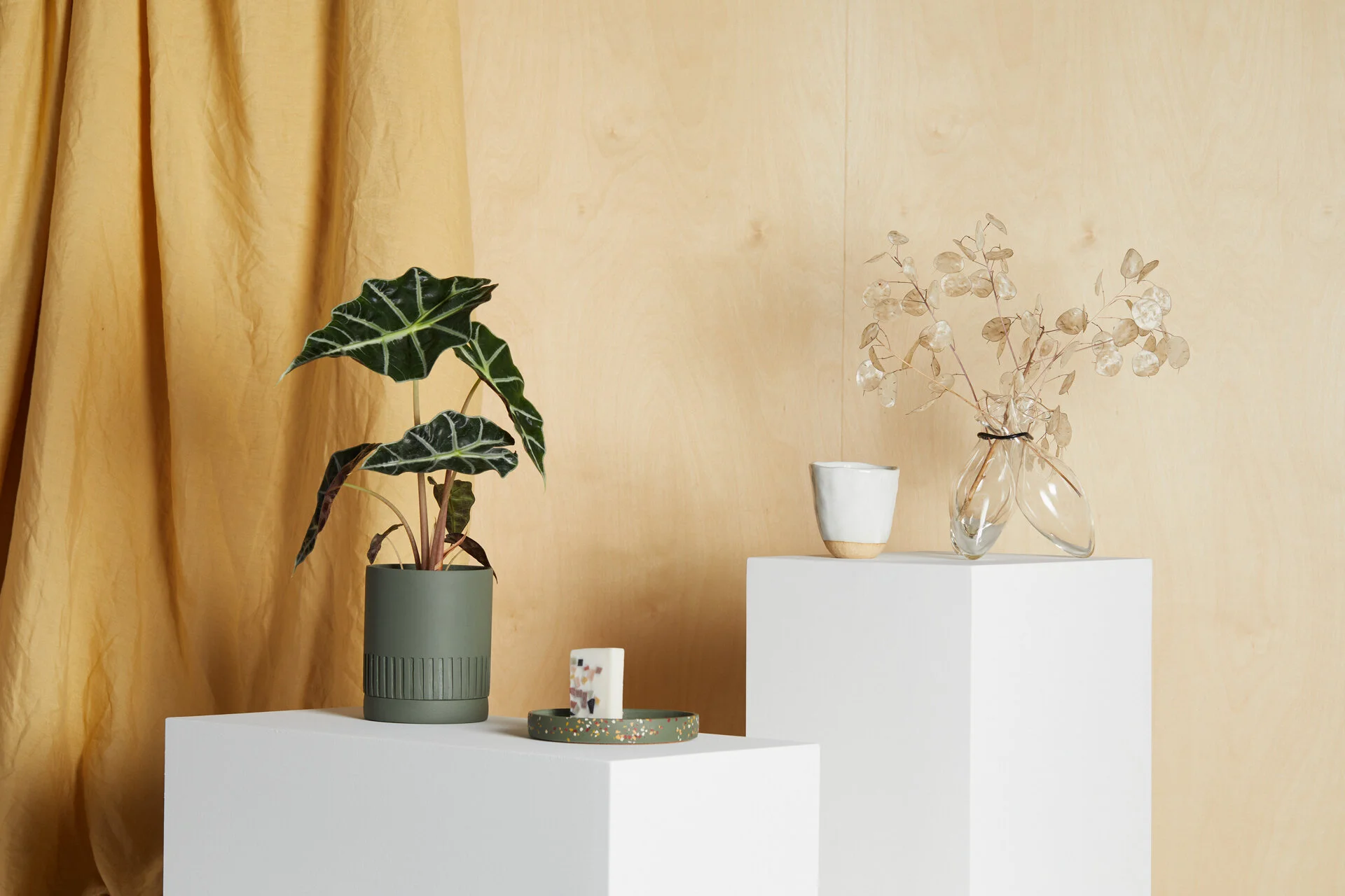 20200225 Surprise Surprise0596.jpg