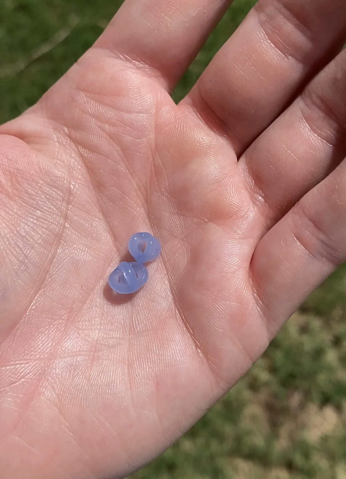 71E3872E-3F82-434C-BE72-02A440E88C10